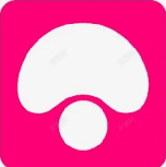 蘑菇视频资源多端播放与下载中心