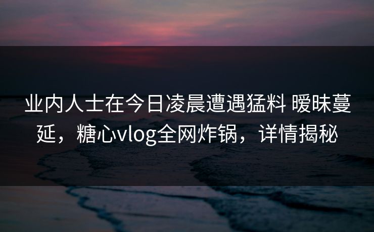 业内人士在今日凌晨遭遇猛料 暧昧蔓延，糖心vlog全网炸锅，详情揭秘
