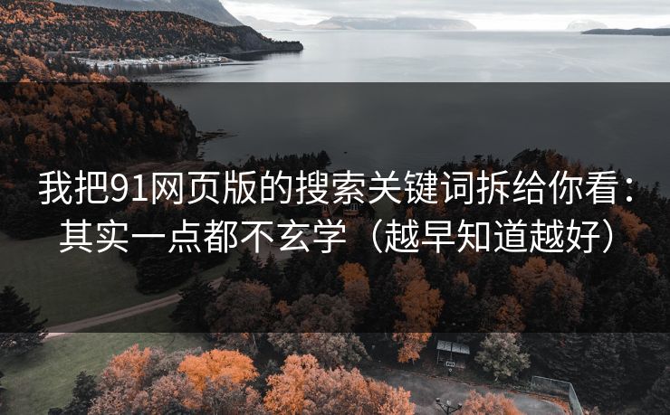 我把91网页版的搜索关键词拆给你看：其实一点都不玄学（越早知道越好）