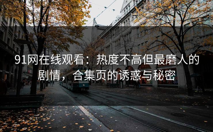 91网在线观看：热度不高但最磨人的剧情，合集页的诱惑与秘密  第1张
